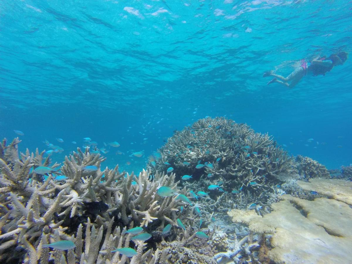Sevinex Inn Feridhoo Bagian luar foto