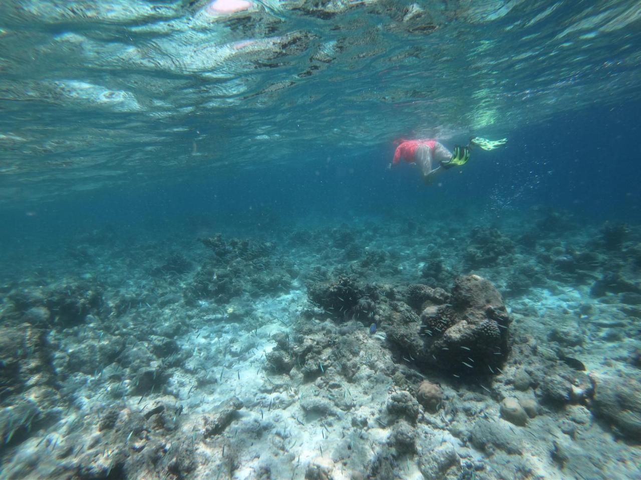 Sevinex Inn Feridhoo Bagian luar foto